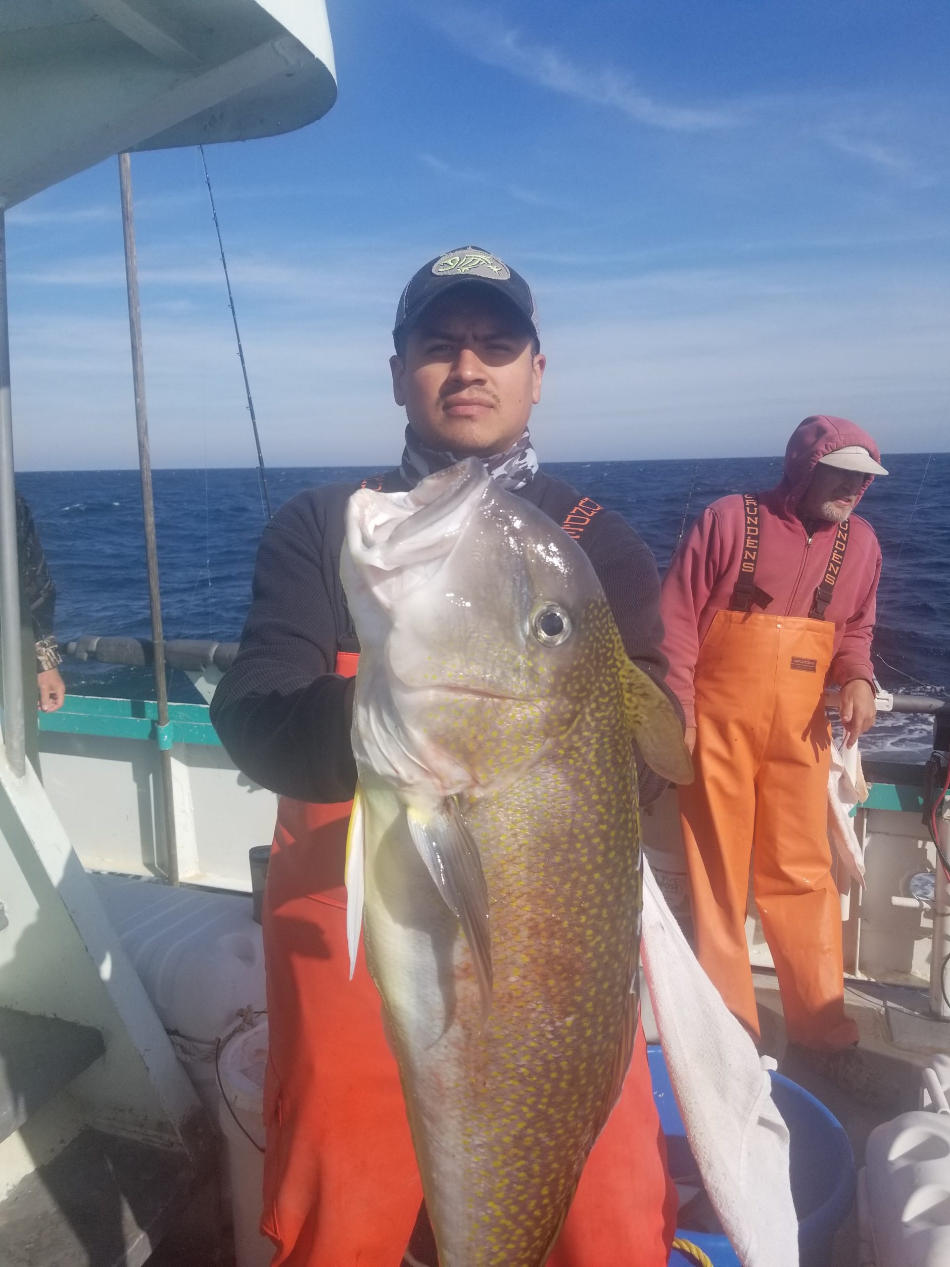 a person holding a fish in the water