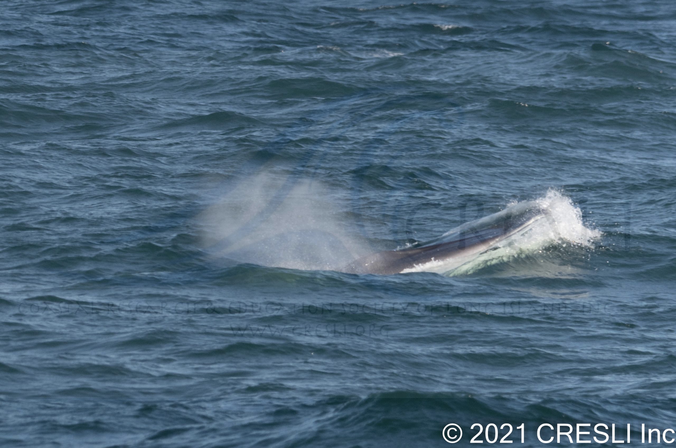 a man riding a wave on a surfboard in the water