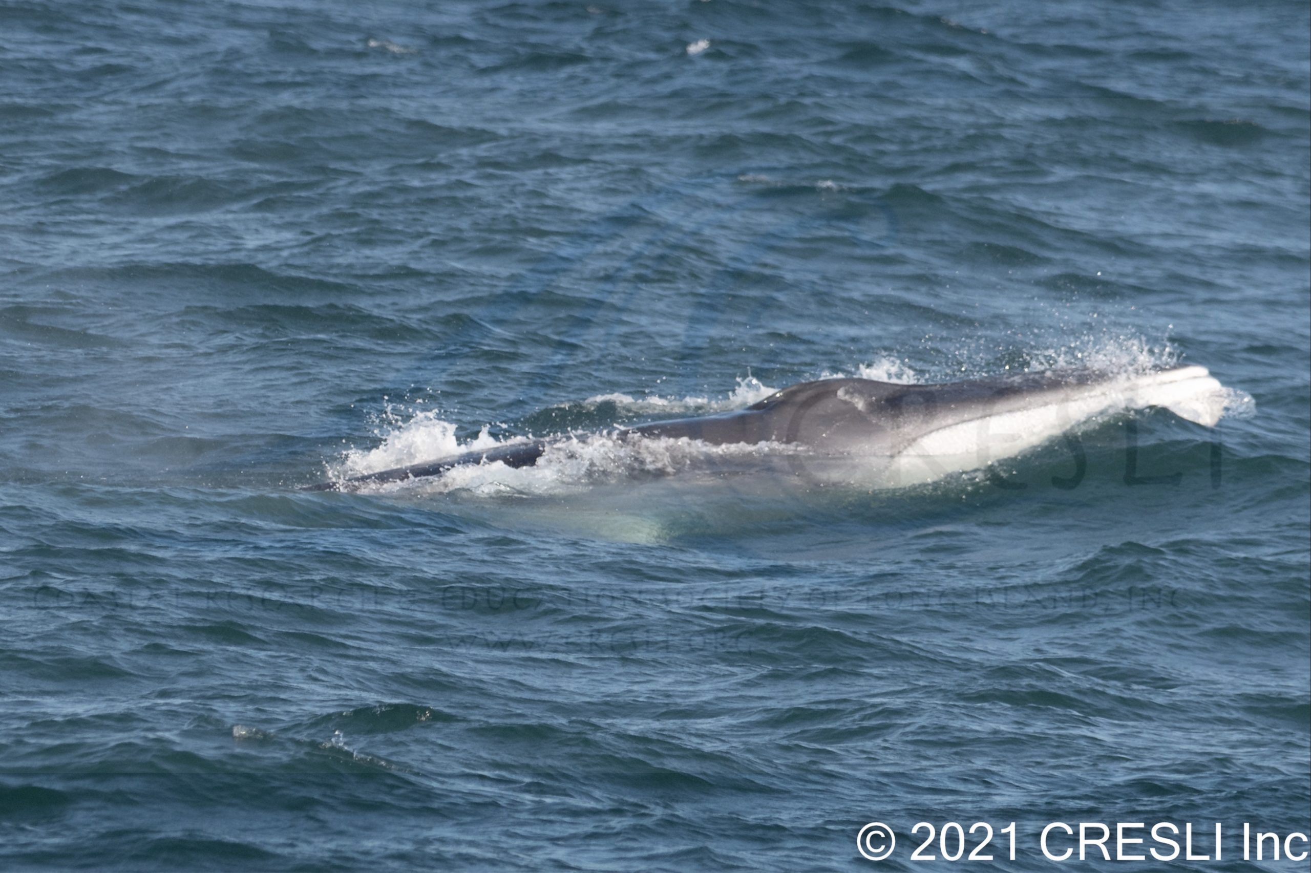 a person riding a wave on top of a body of water