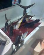 a pair of fish on a table