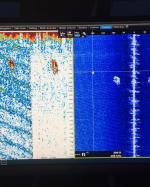 a flat screen television