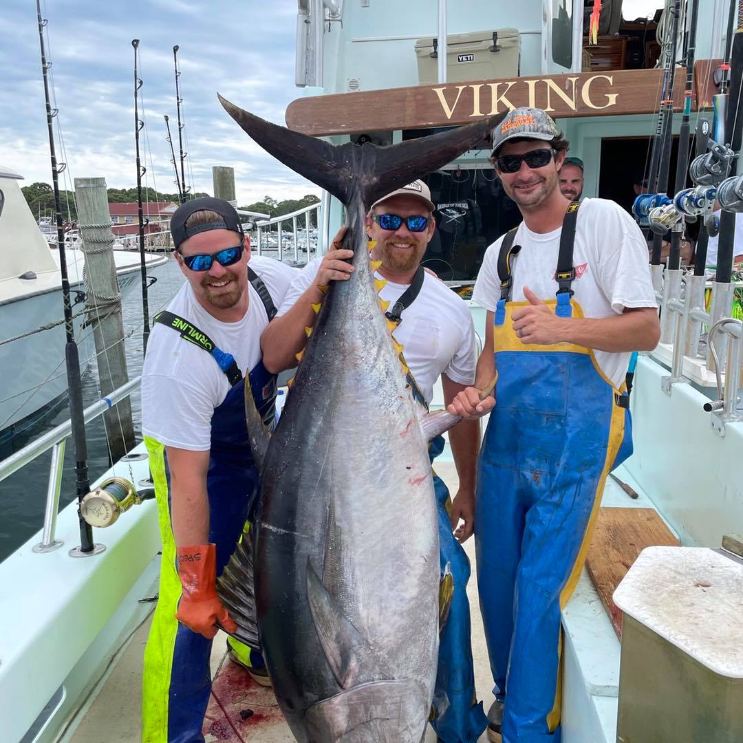 a man holding a fish