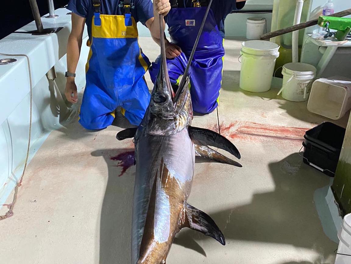 a person holding a fish