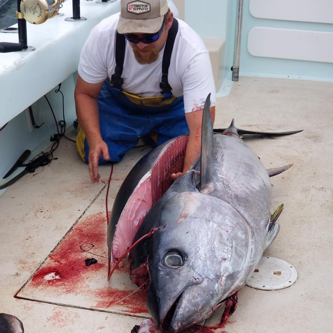 a man holding a fish