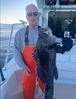 a person holding a fish in the water