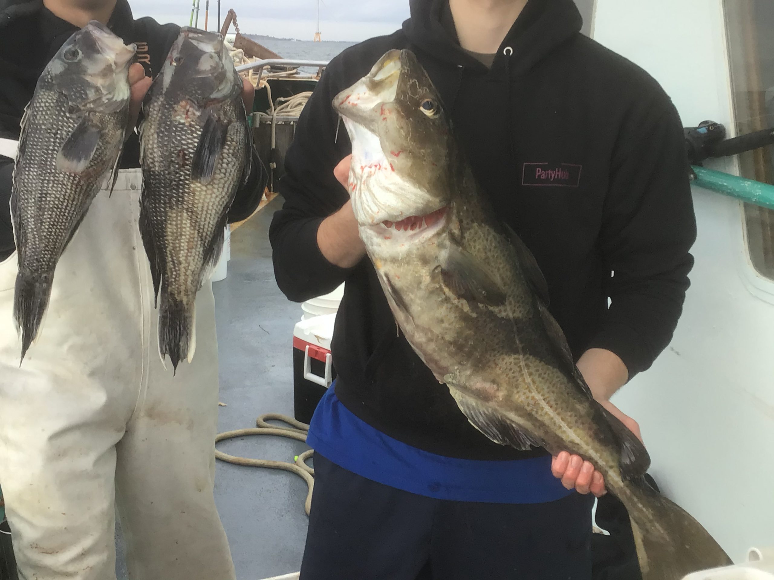 a person holding a fish