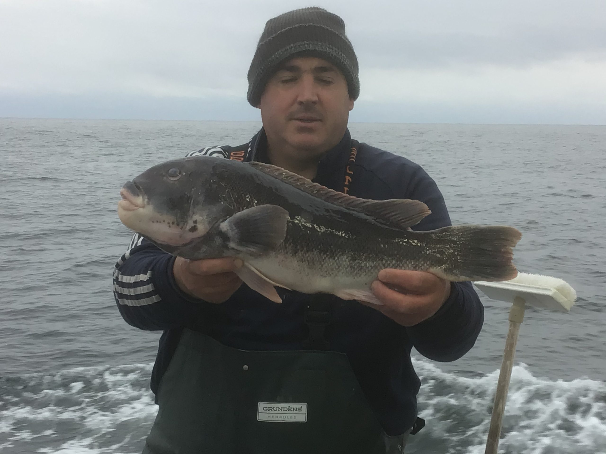 a person holding a fish in the water