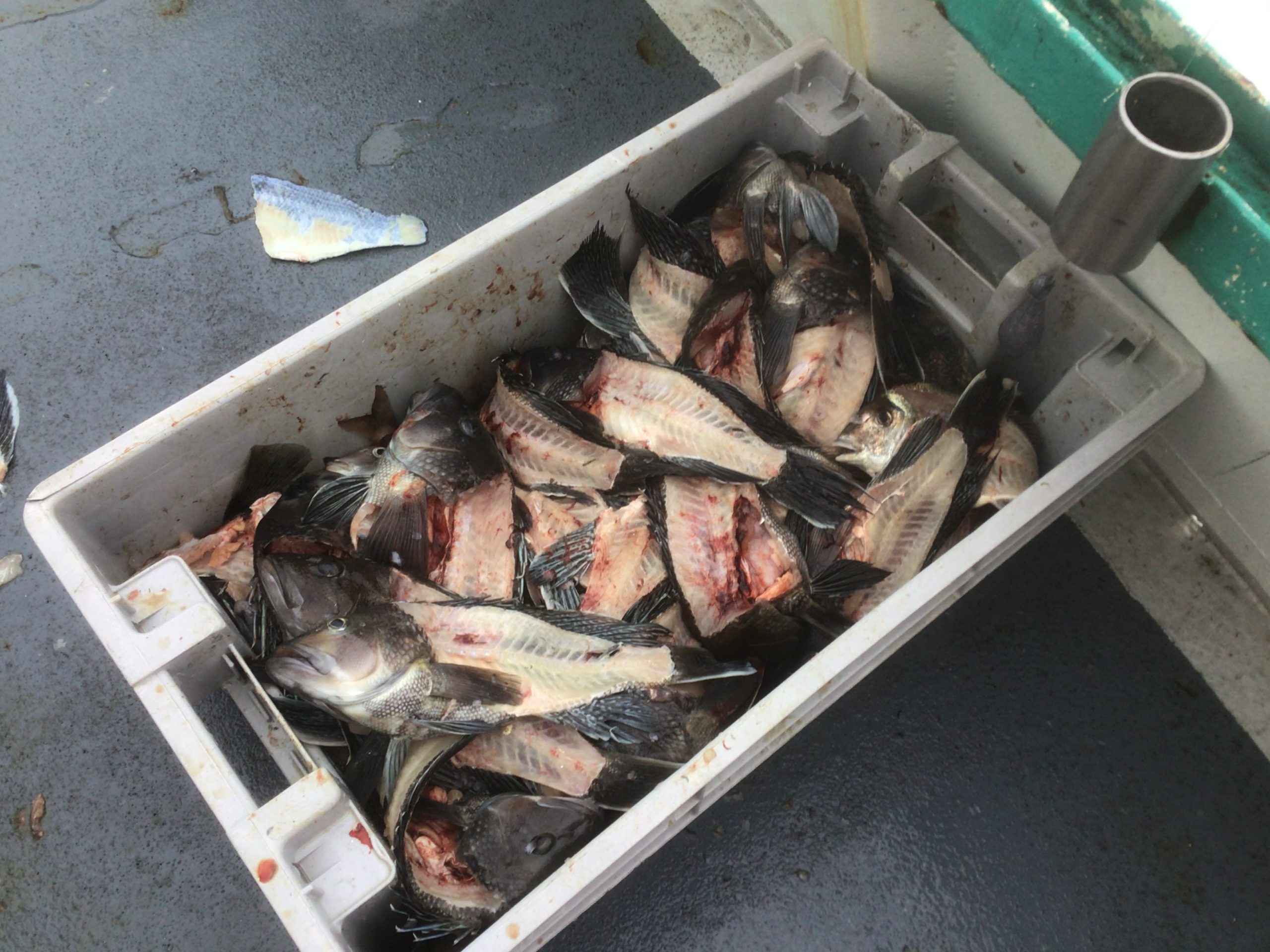 a box filled with different types of food on a tray