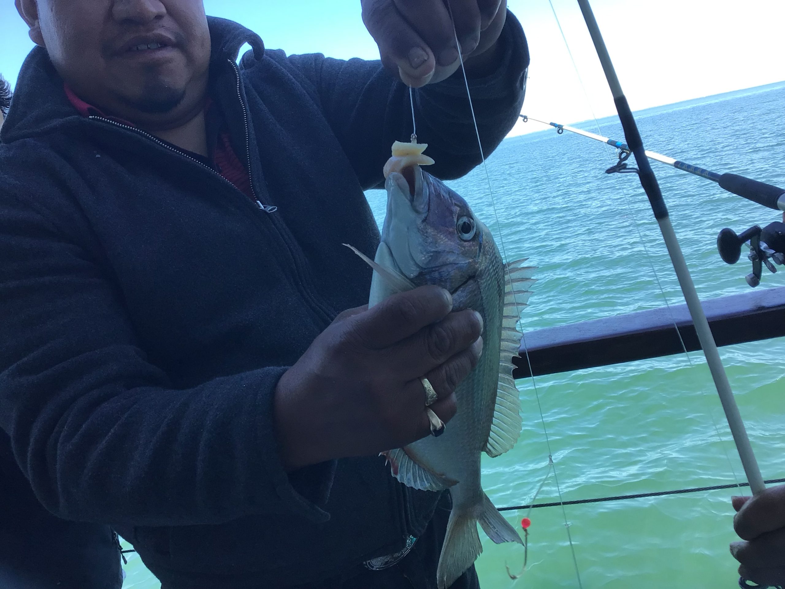 a person holding a fish