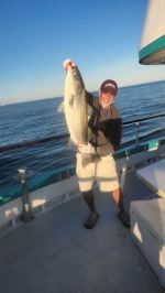 a person holding a fish in the water