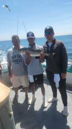 a group of people that are standing in the water