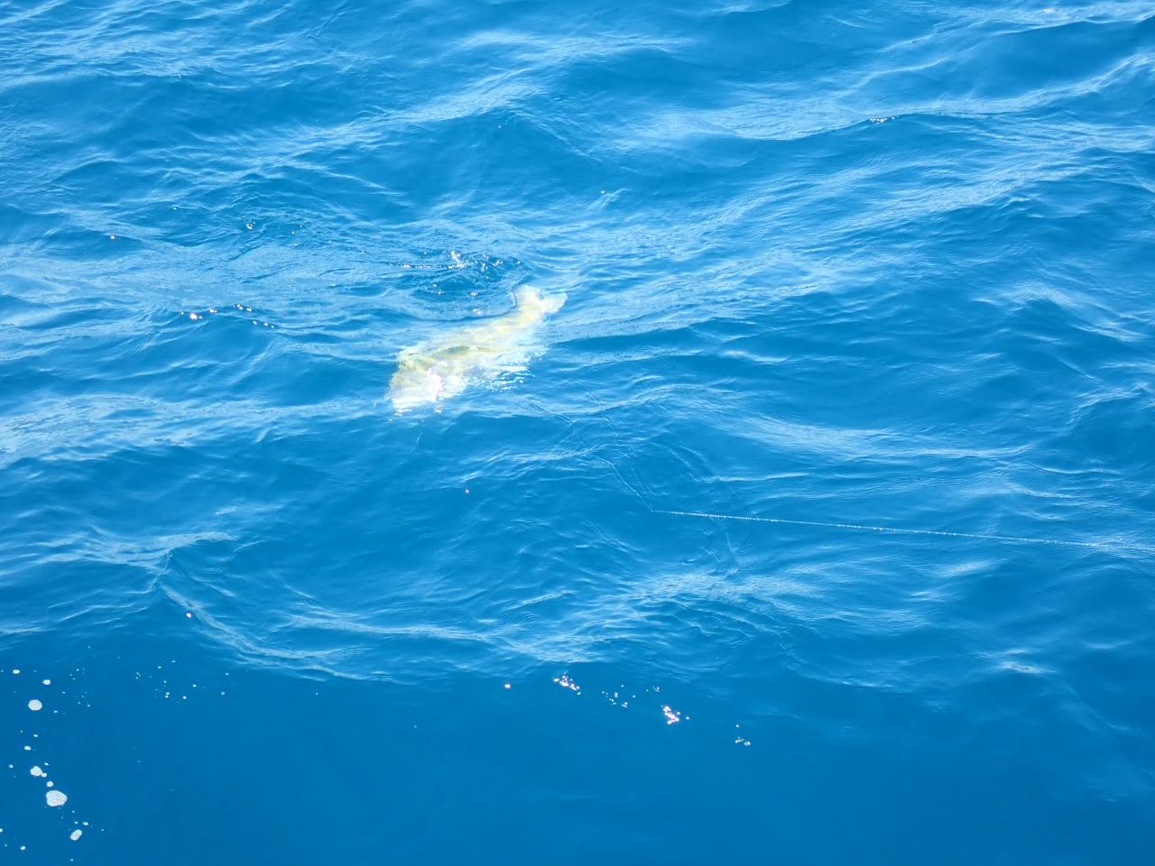 a large body of water