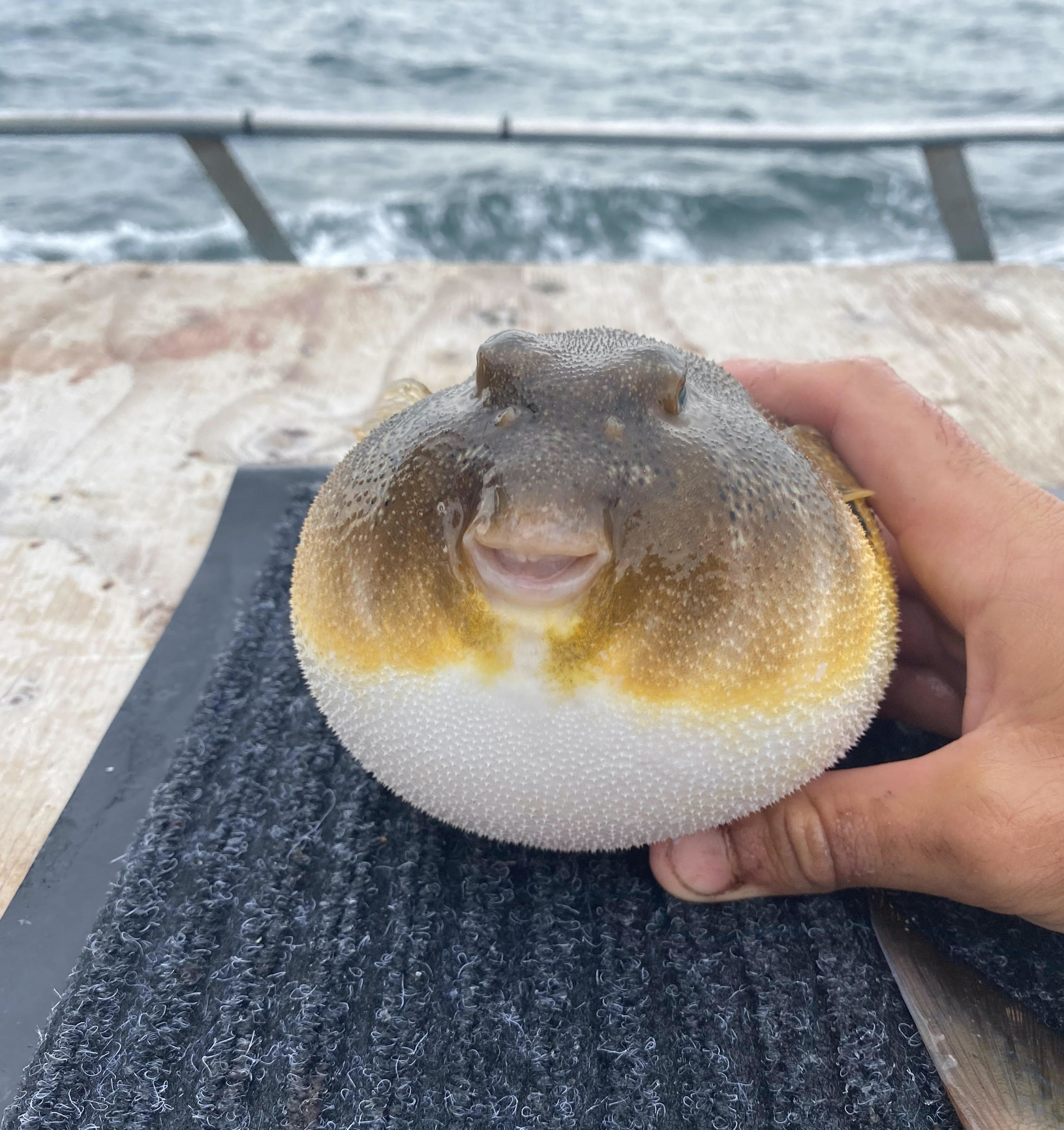 a person sitting at a beach