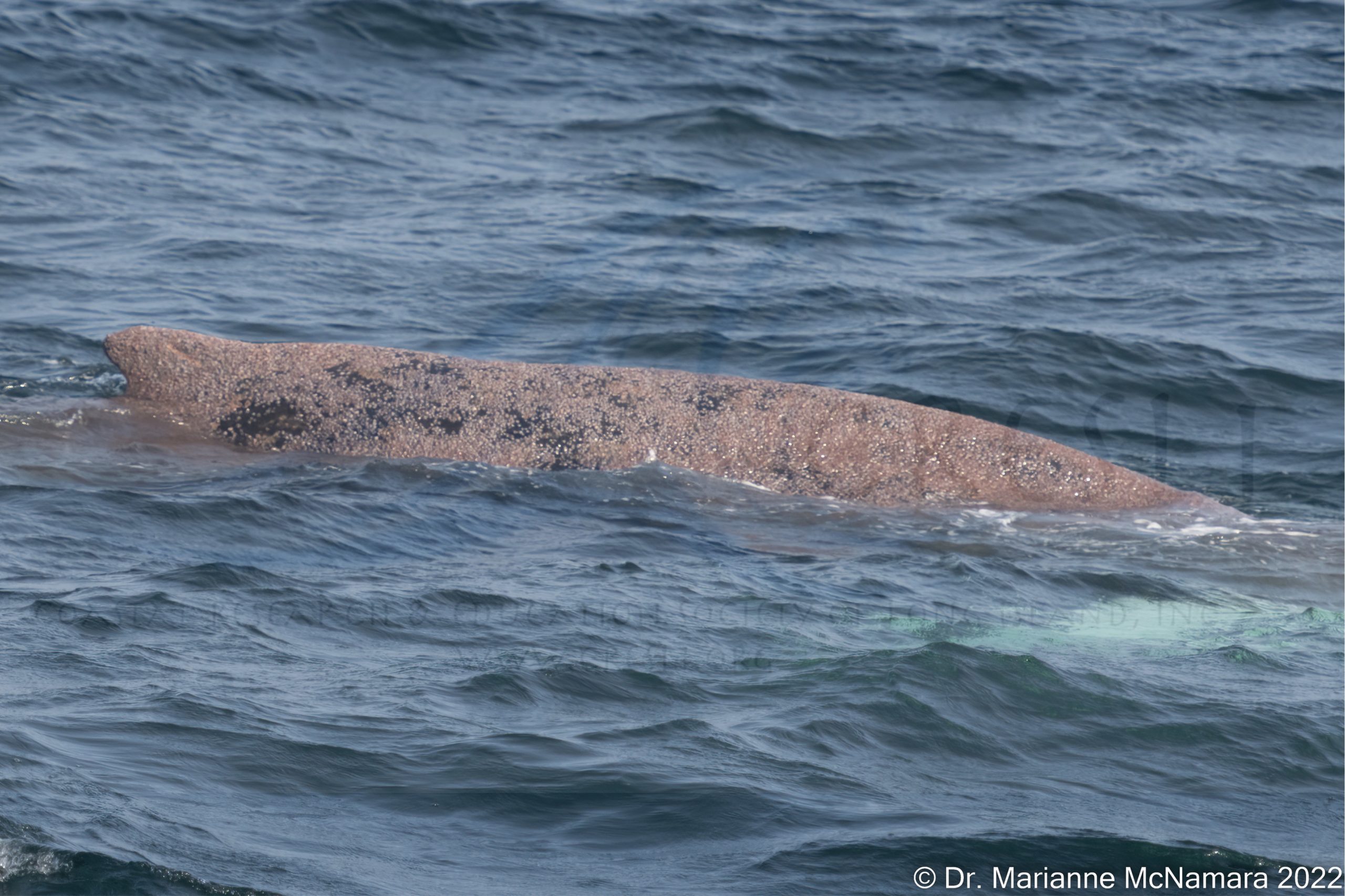 a man riding a wave on a surfboard in the water