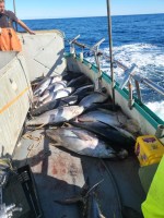 a boat parked next to a body of water