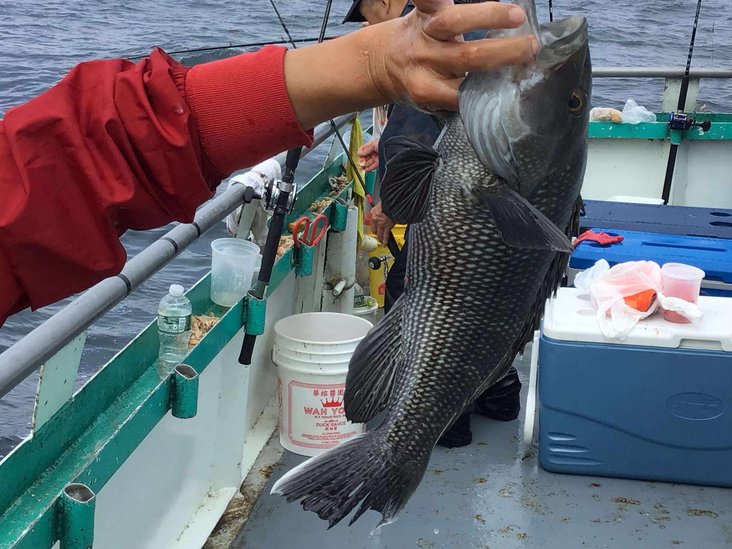 a person holding a fish in the water
