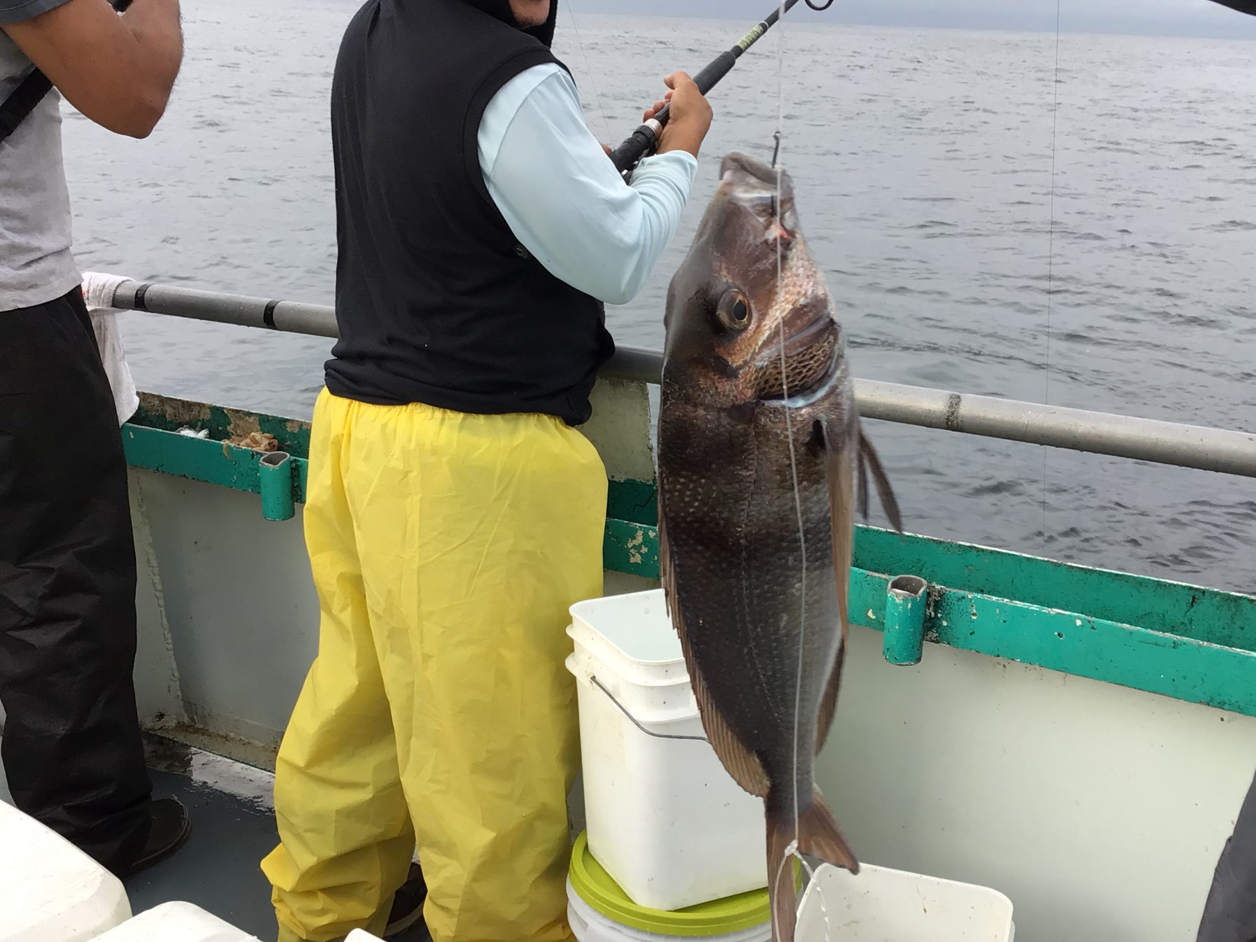 a person holding a fish