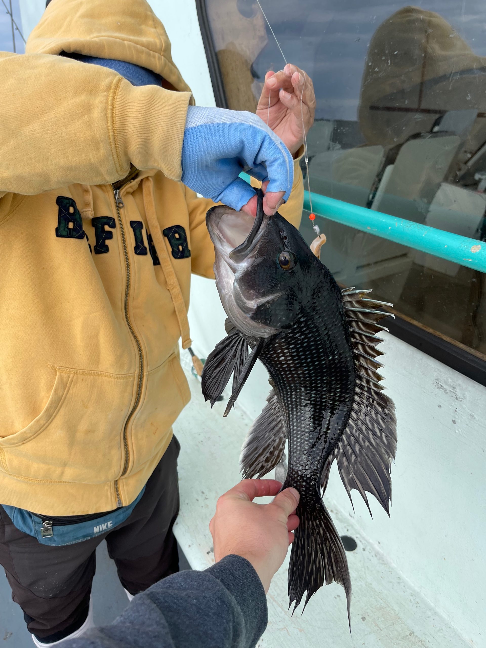 a person holding a fish