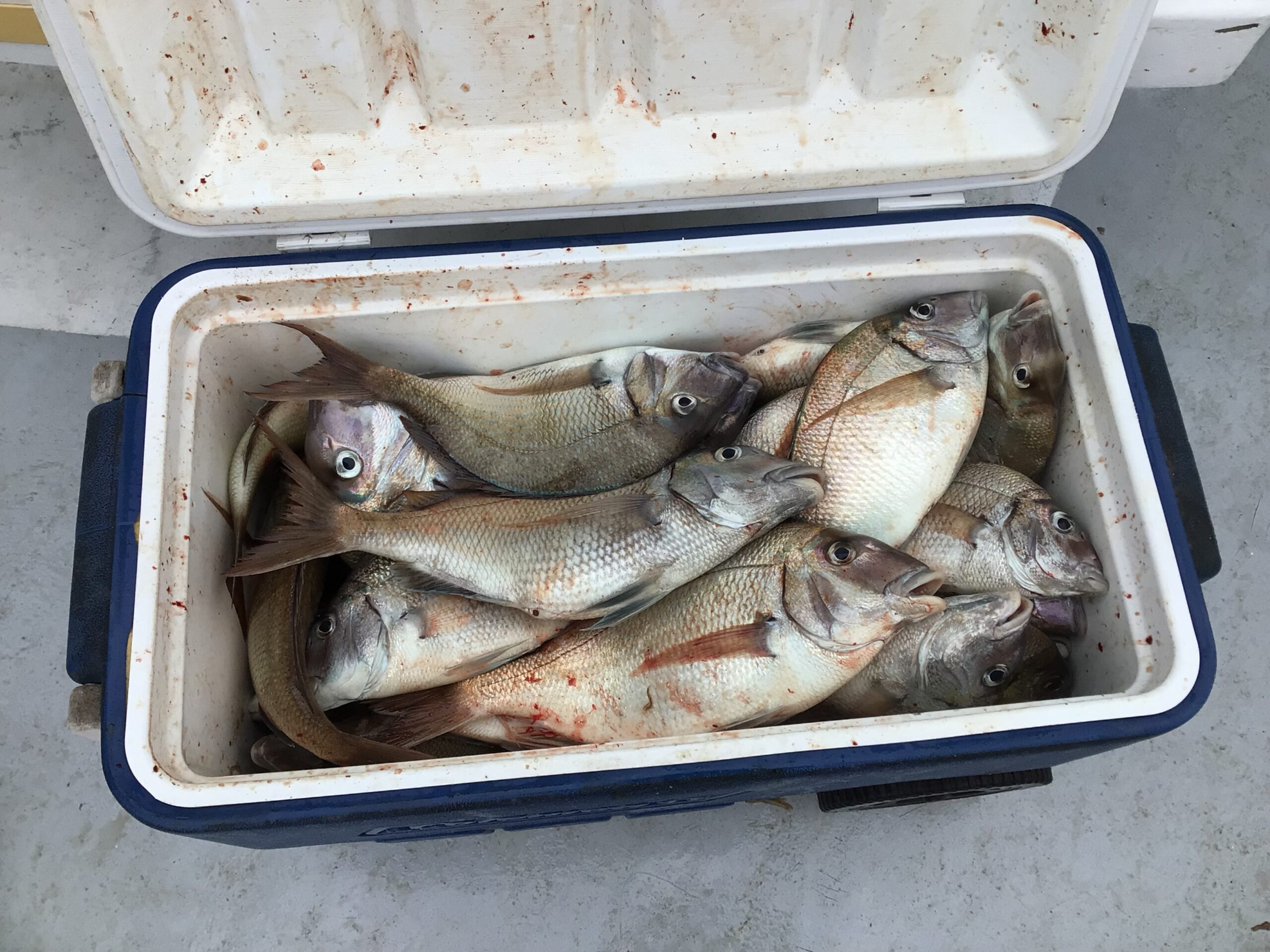 a stove top oven sitting inside of a car