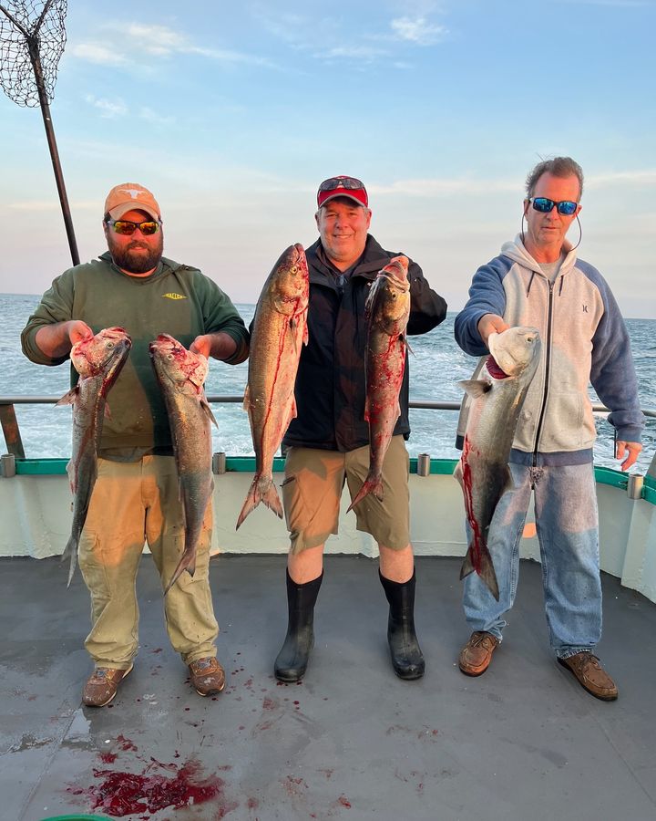 a group of people holding a fish
