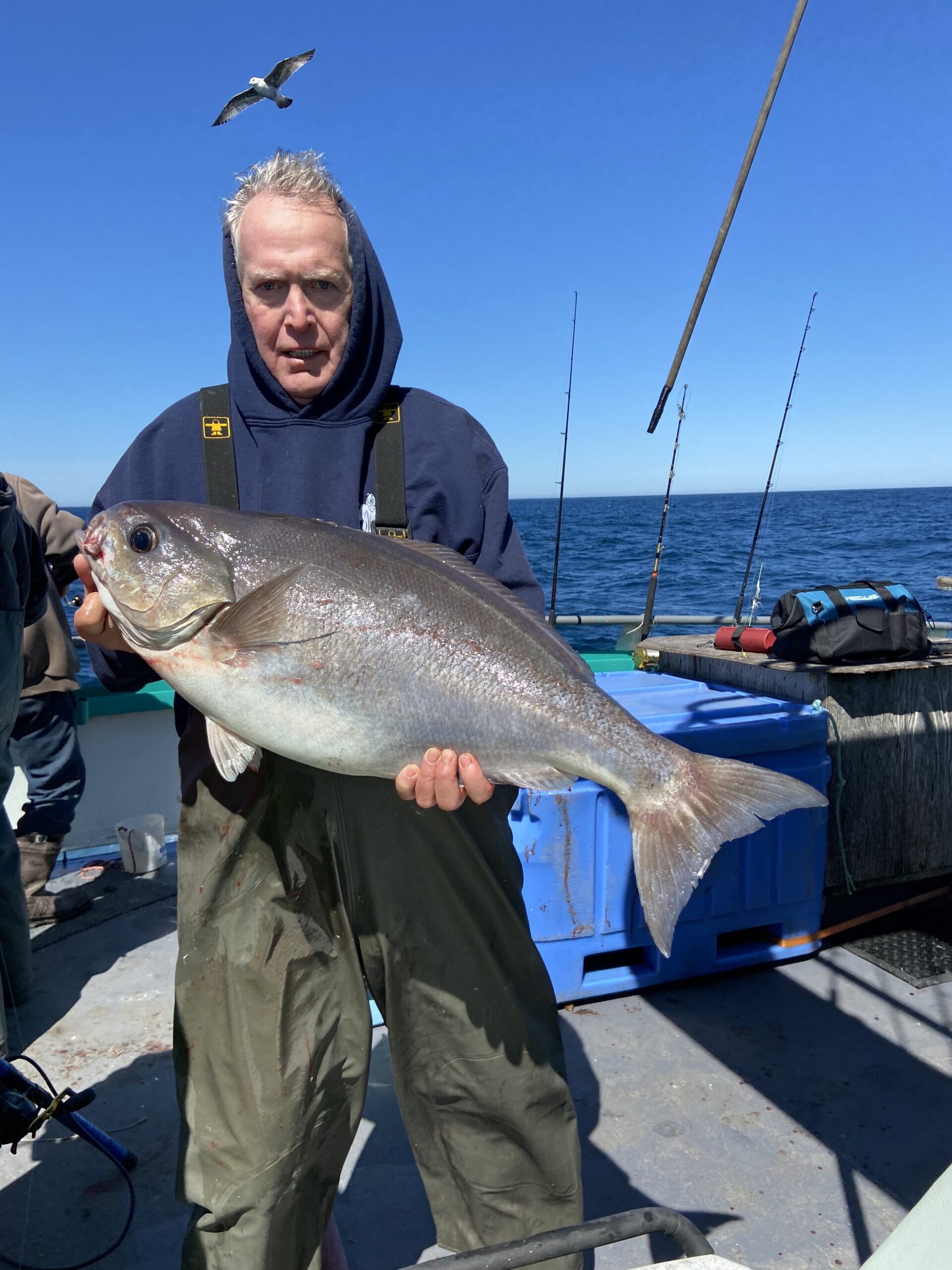 a man holding a fish