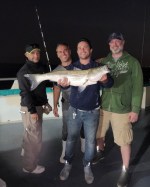 a man holding a fish