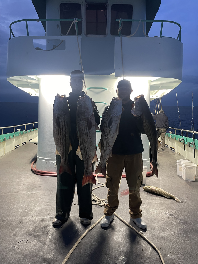 a group of people standing around a plane