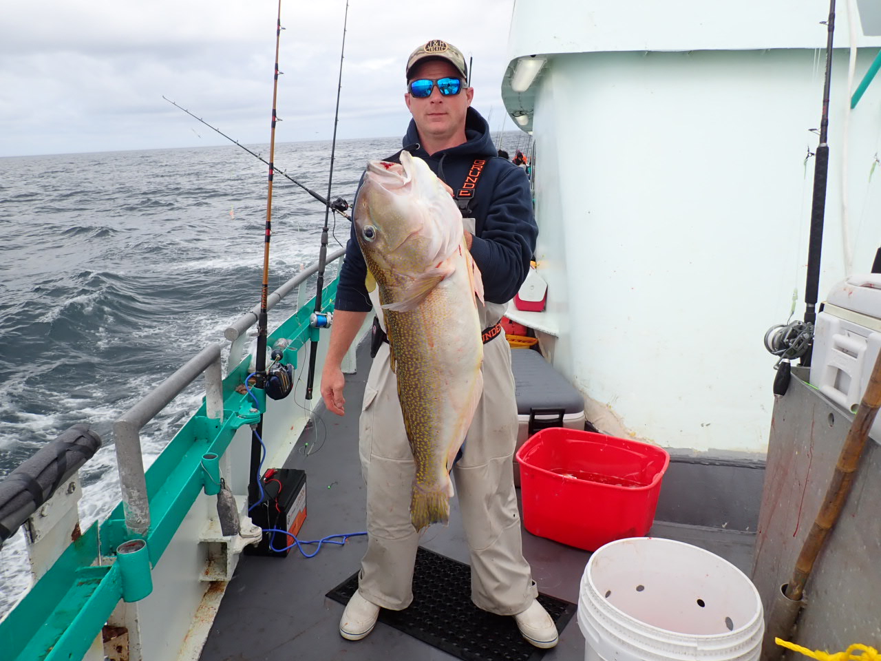 a person holding a fish on a boat