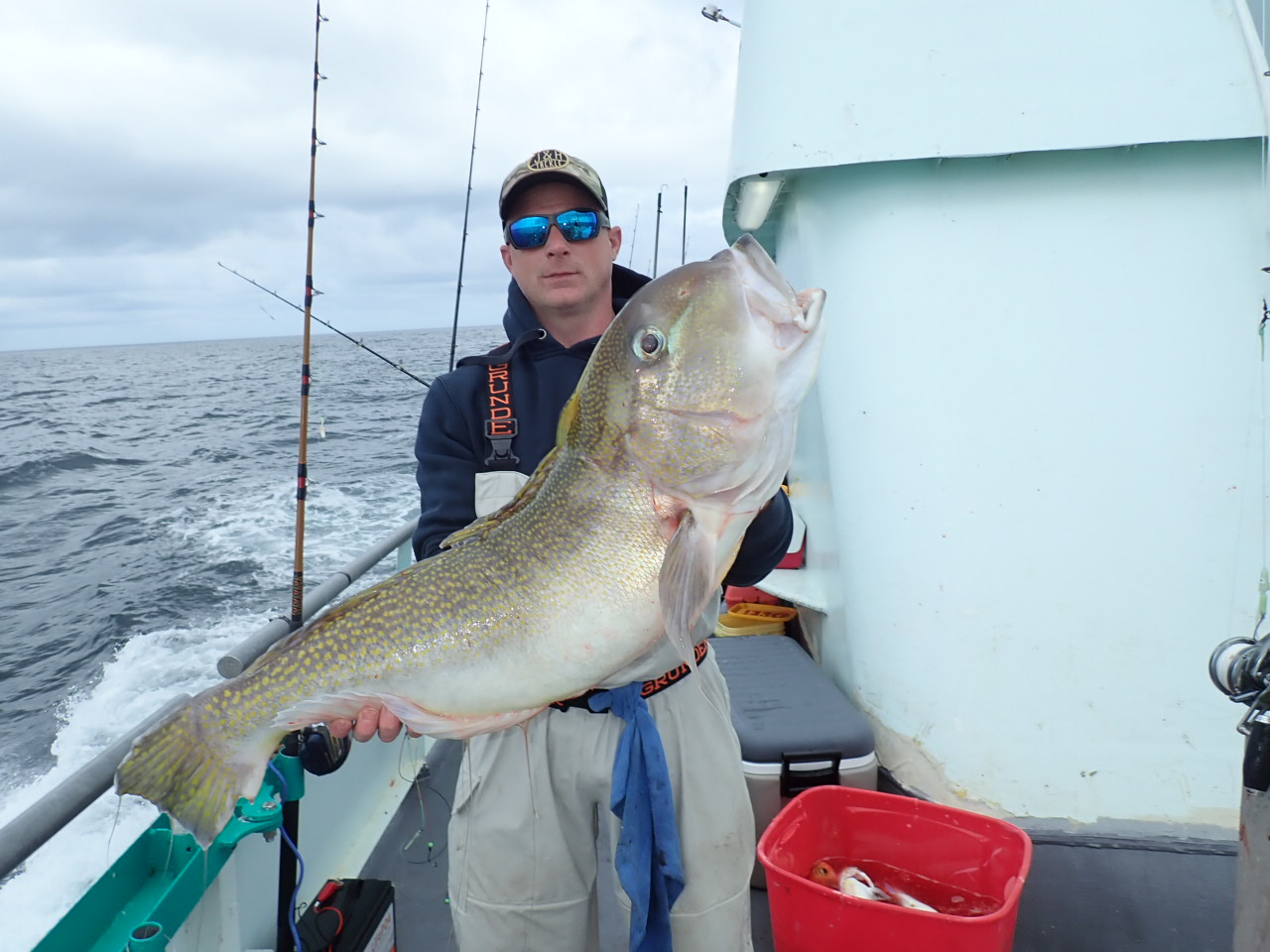 a person holding a fish on a boat