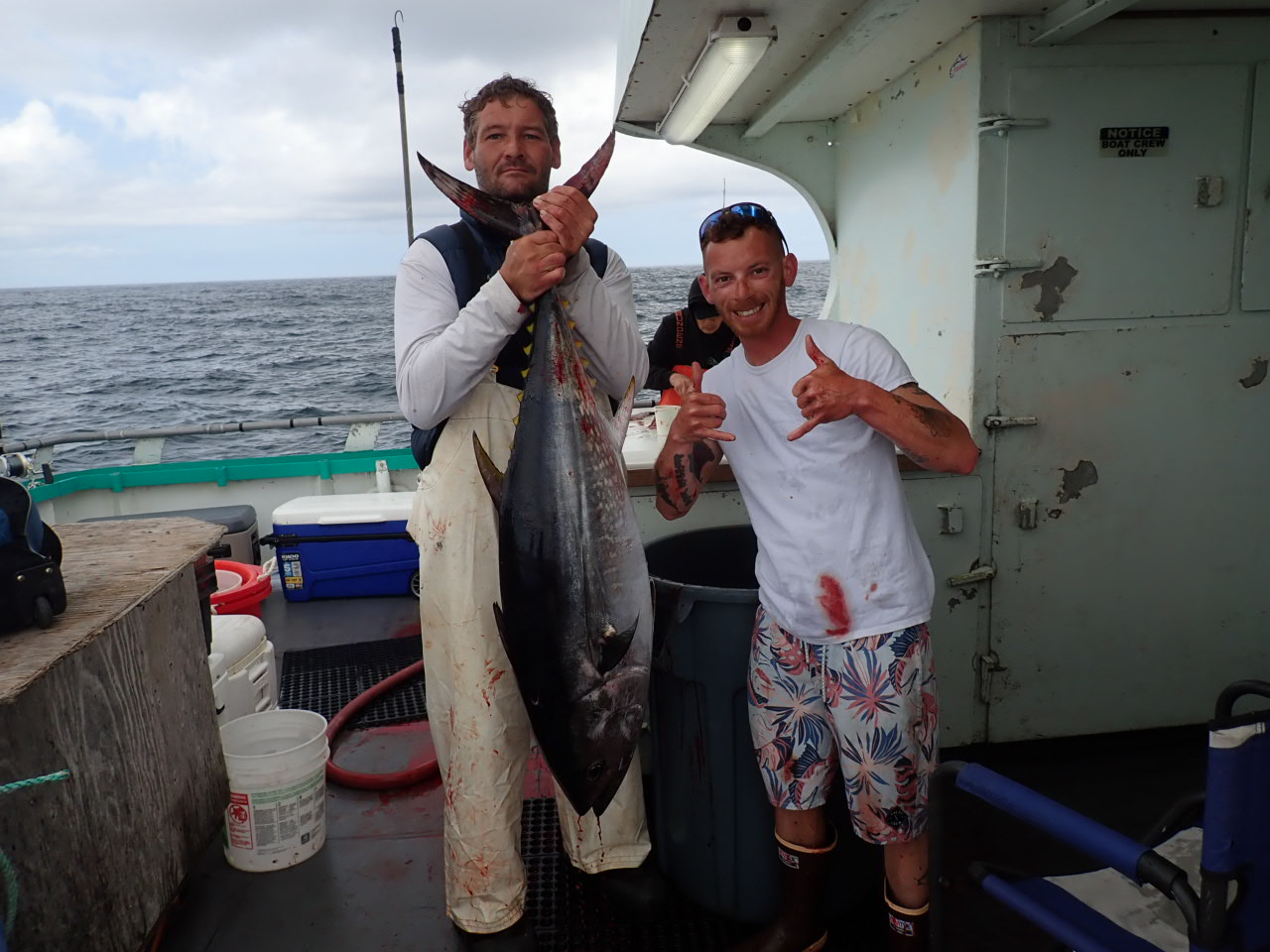 a person holding a fish on a boat