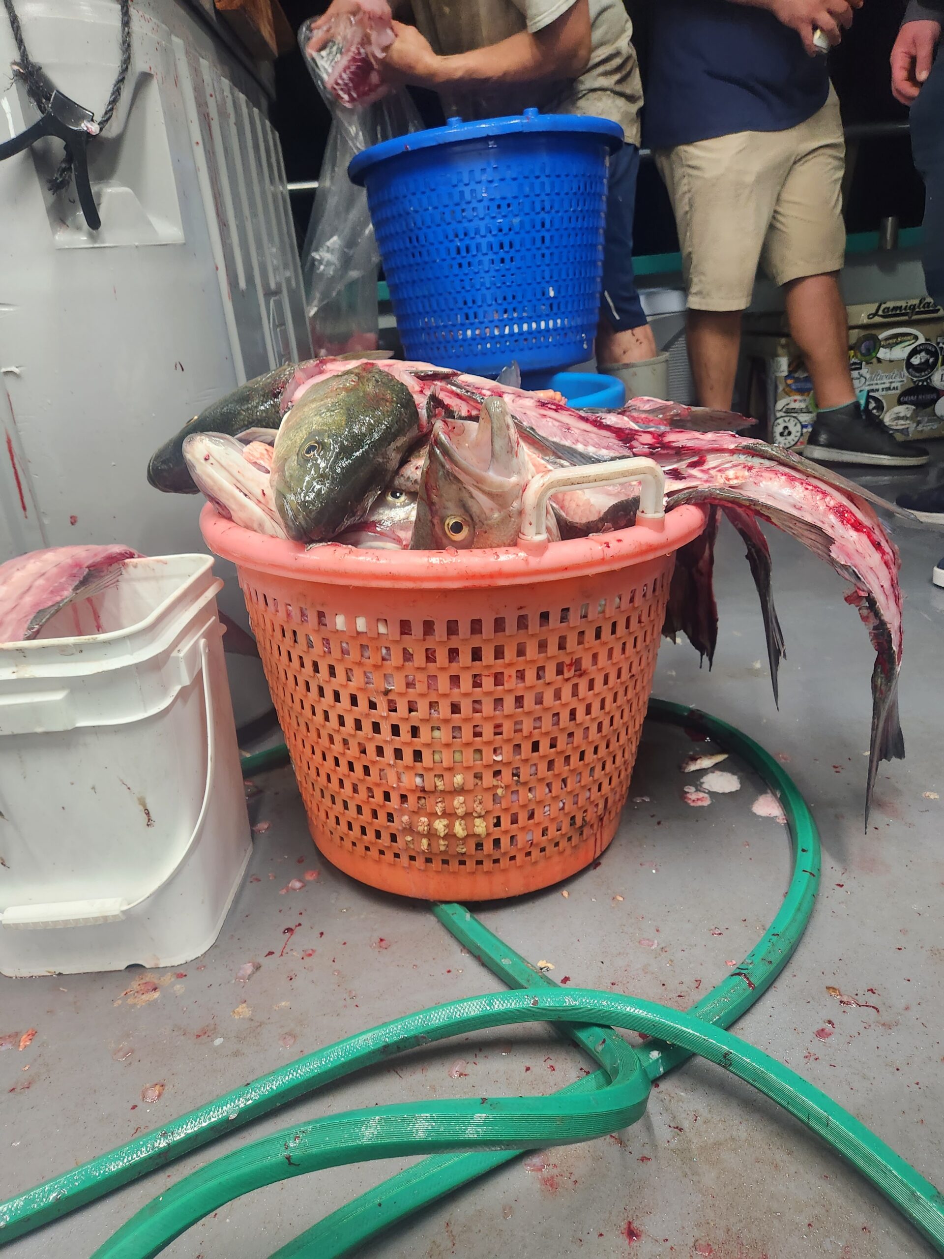 a woman preparing food in a bowl