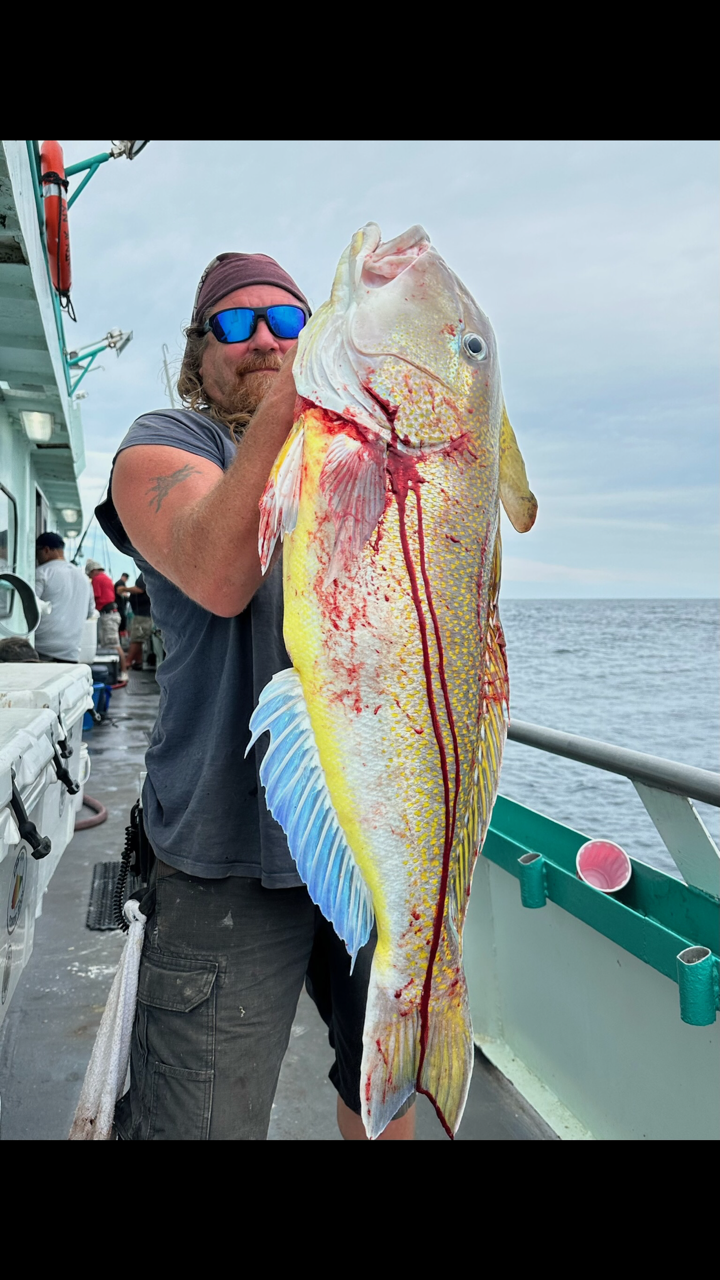 a person holding a fish in the water