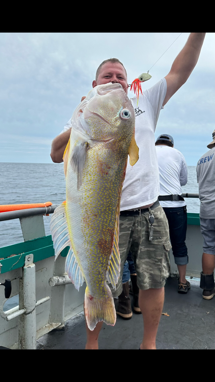 a man holding a fish