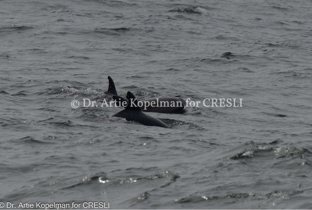 a person riding a surf board on a body of water
