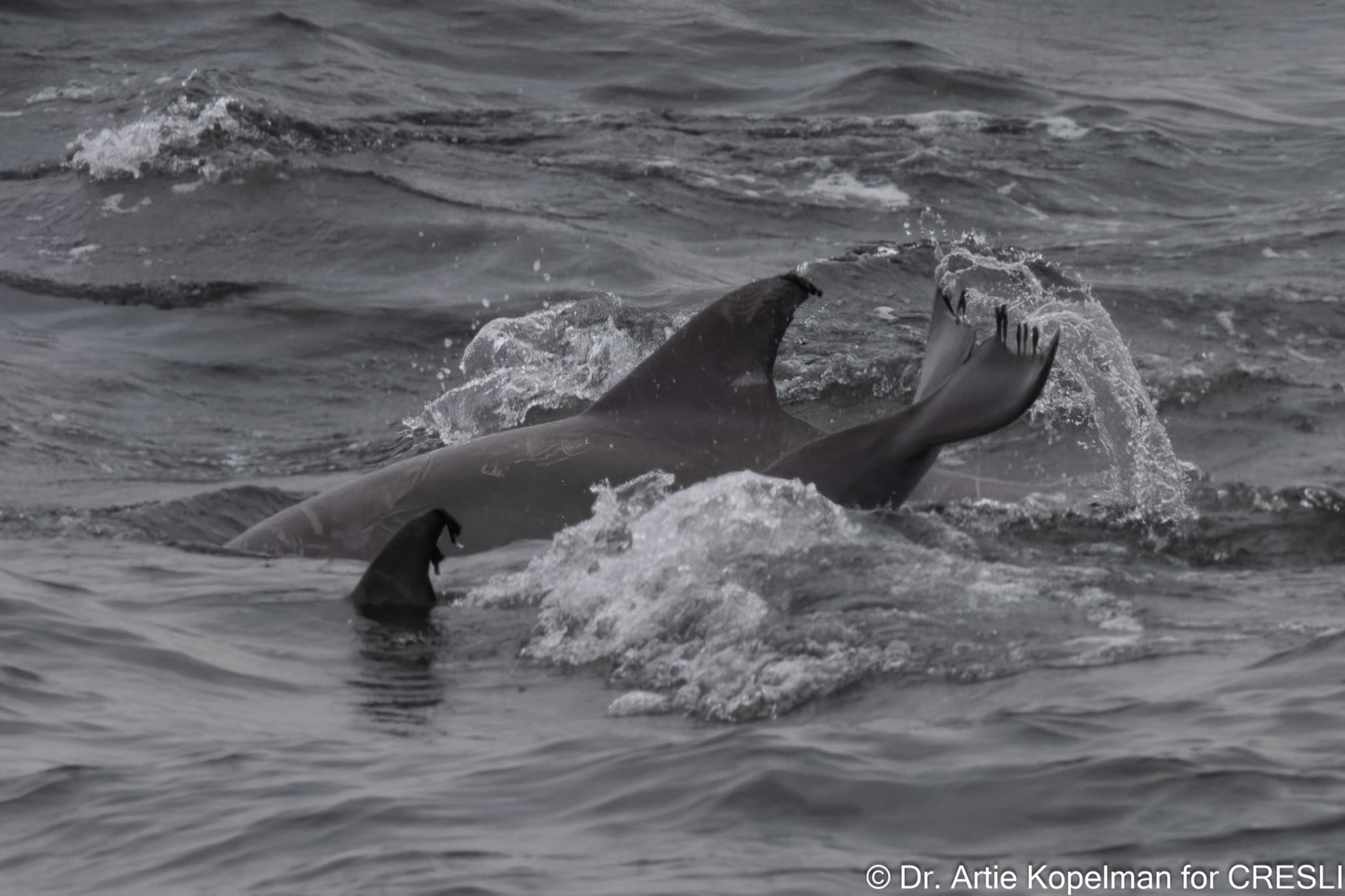 a person riding a wave on a surfboard in the water