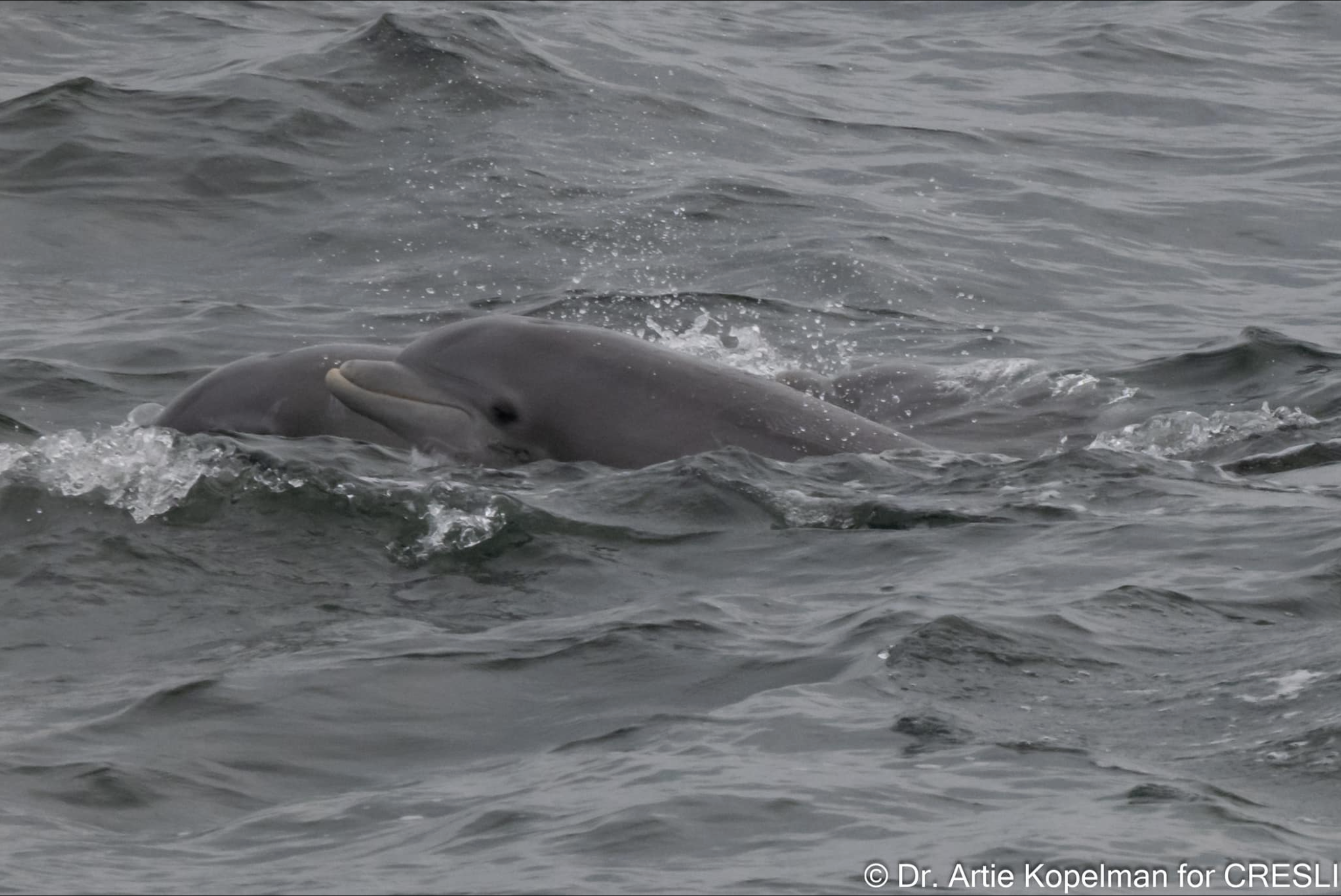 a person riding a wave on a surfboard in the ocean