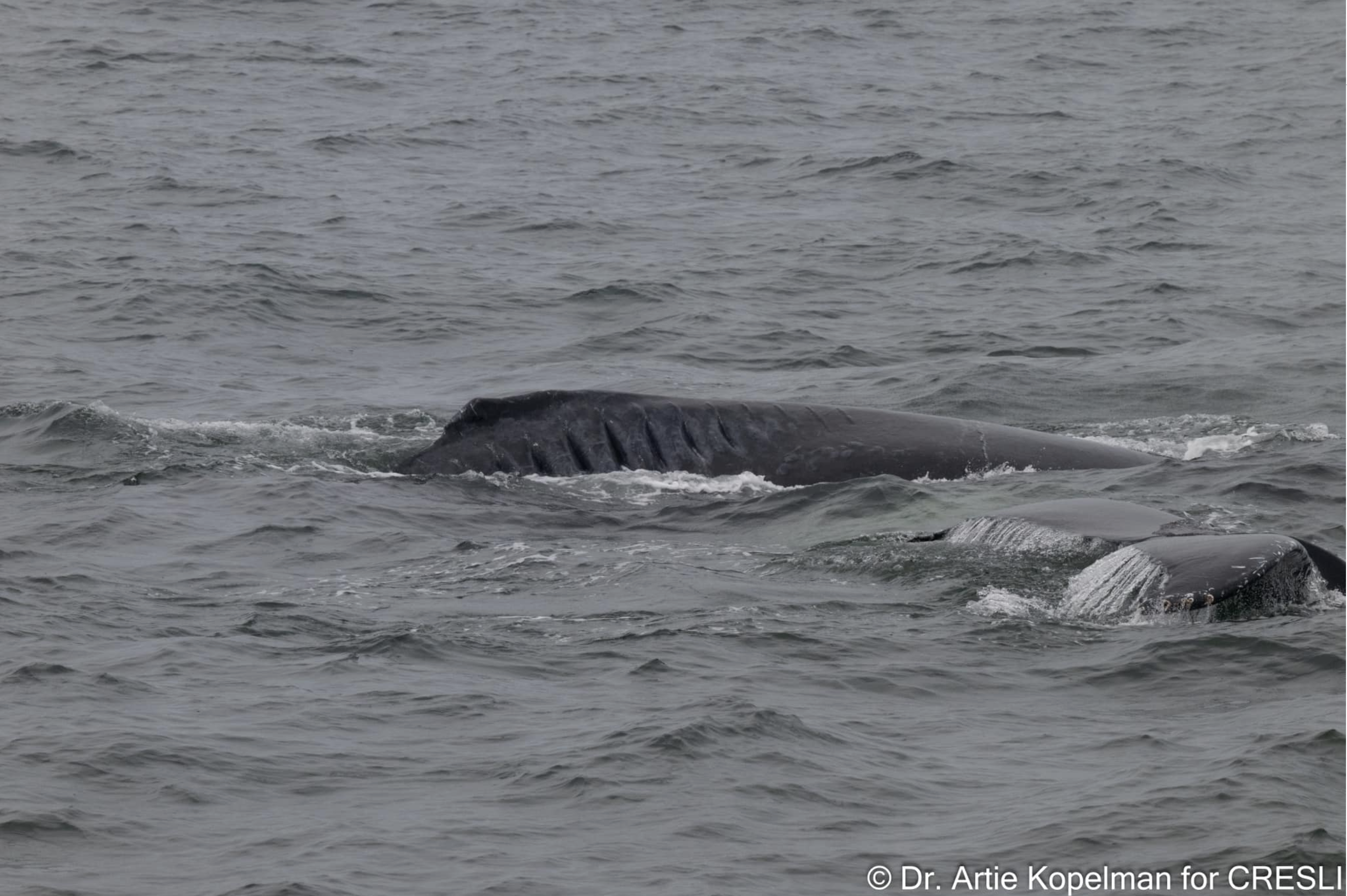 a man riding a wave on a surf board on a body of water