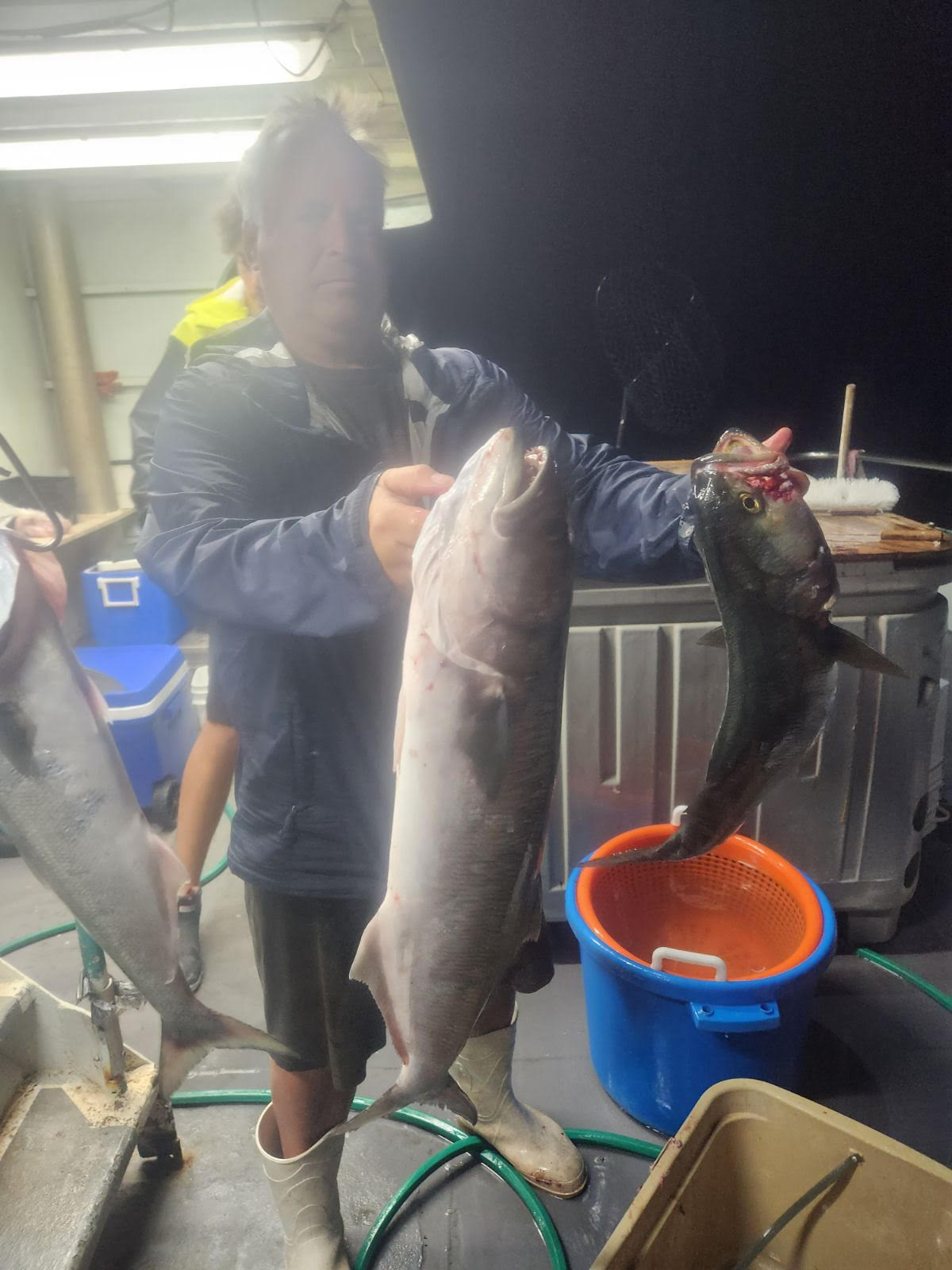 a person holding a fish