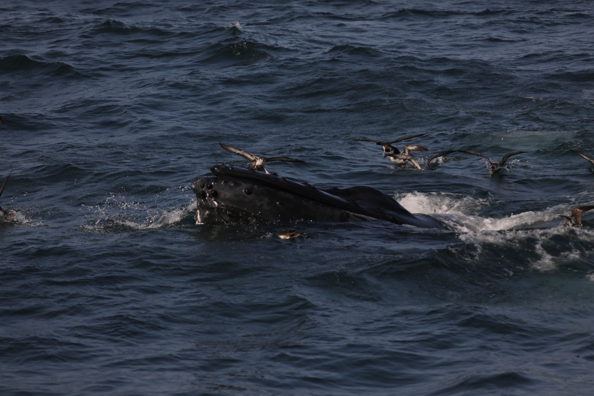 a small boat in a body of water