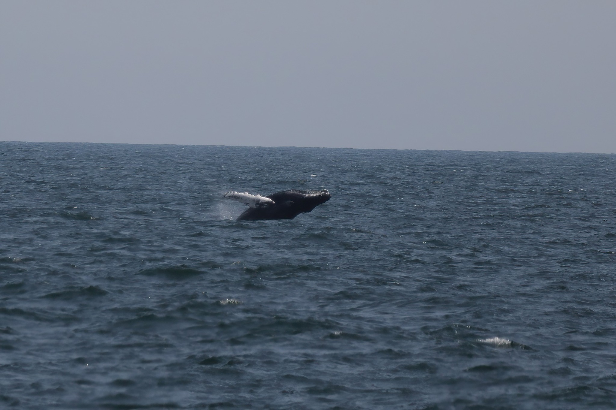 a large body of water