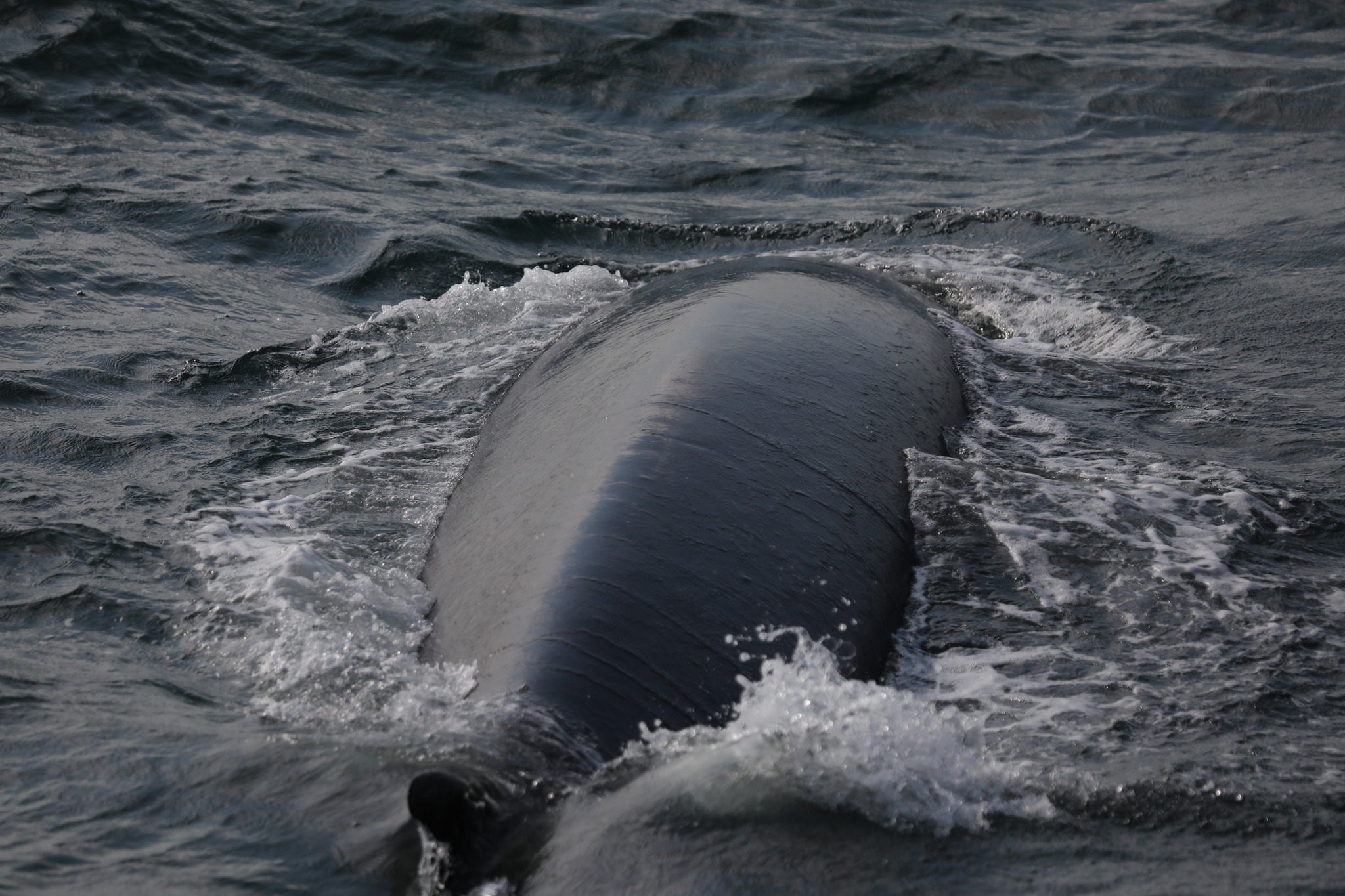 a man riding a wave on top of a body of water
