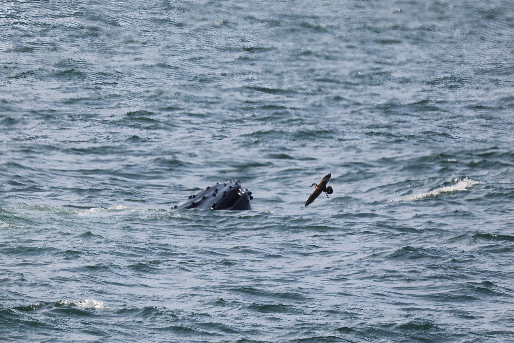 a man riding a wave on top of a body of water