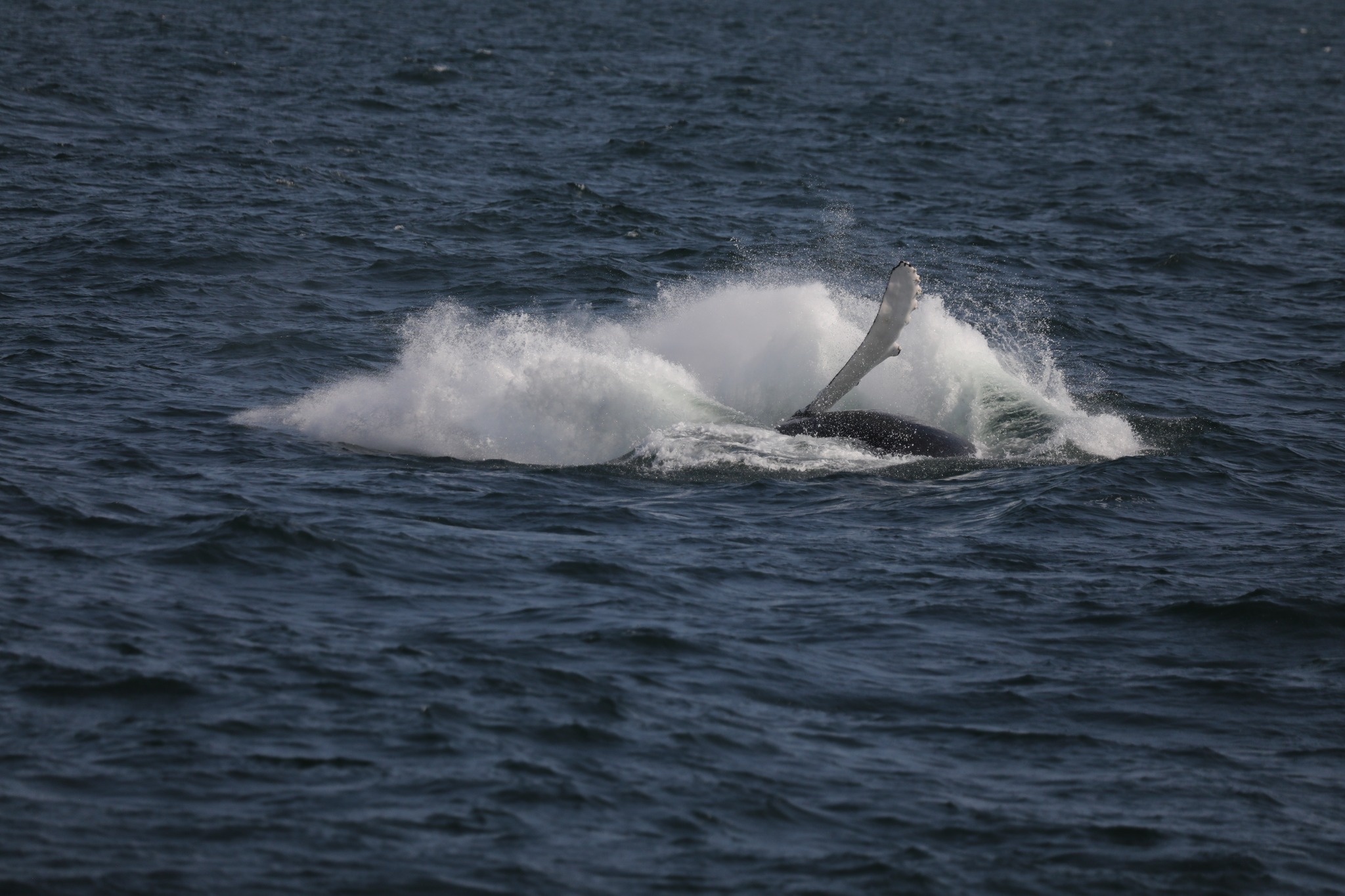 a man riding a wave on top of a body of water