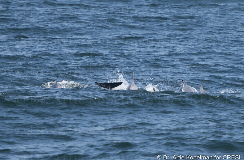a small boat in a body of water