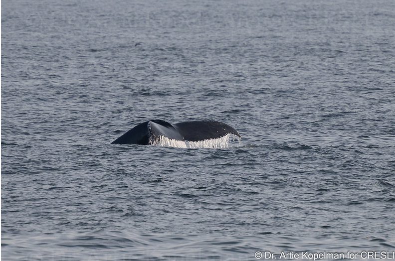 a large body of water