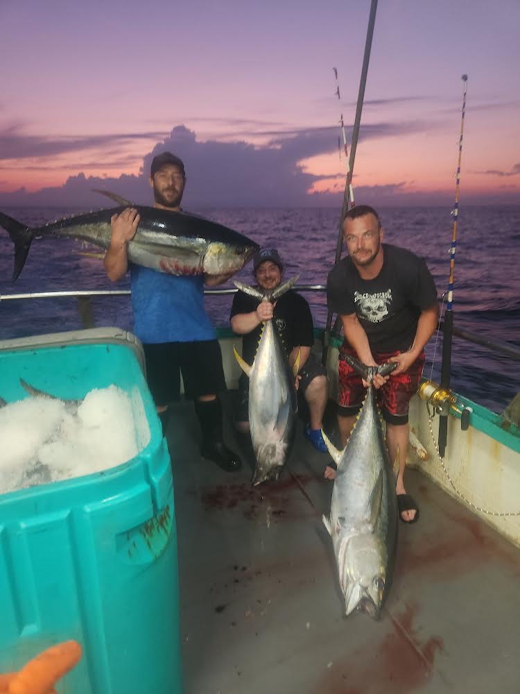 a group of fish in the water