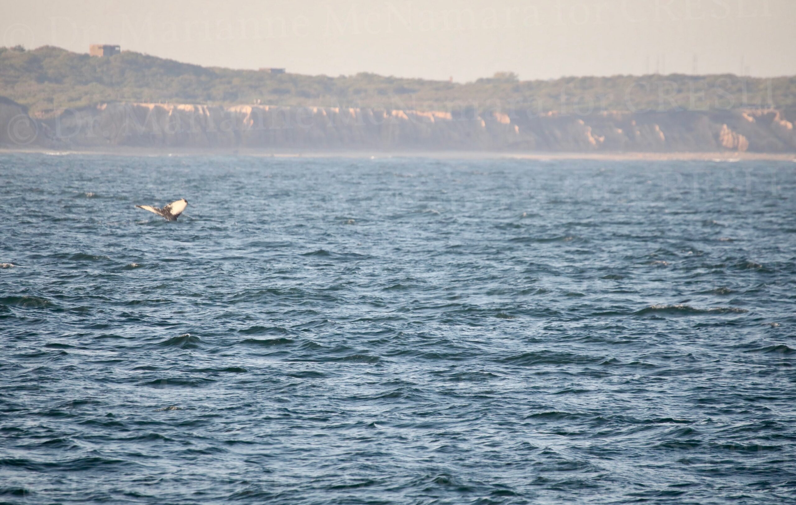 a large body of water