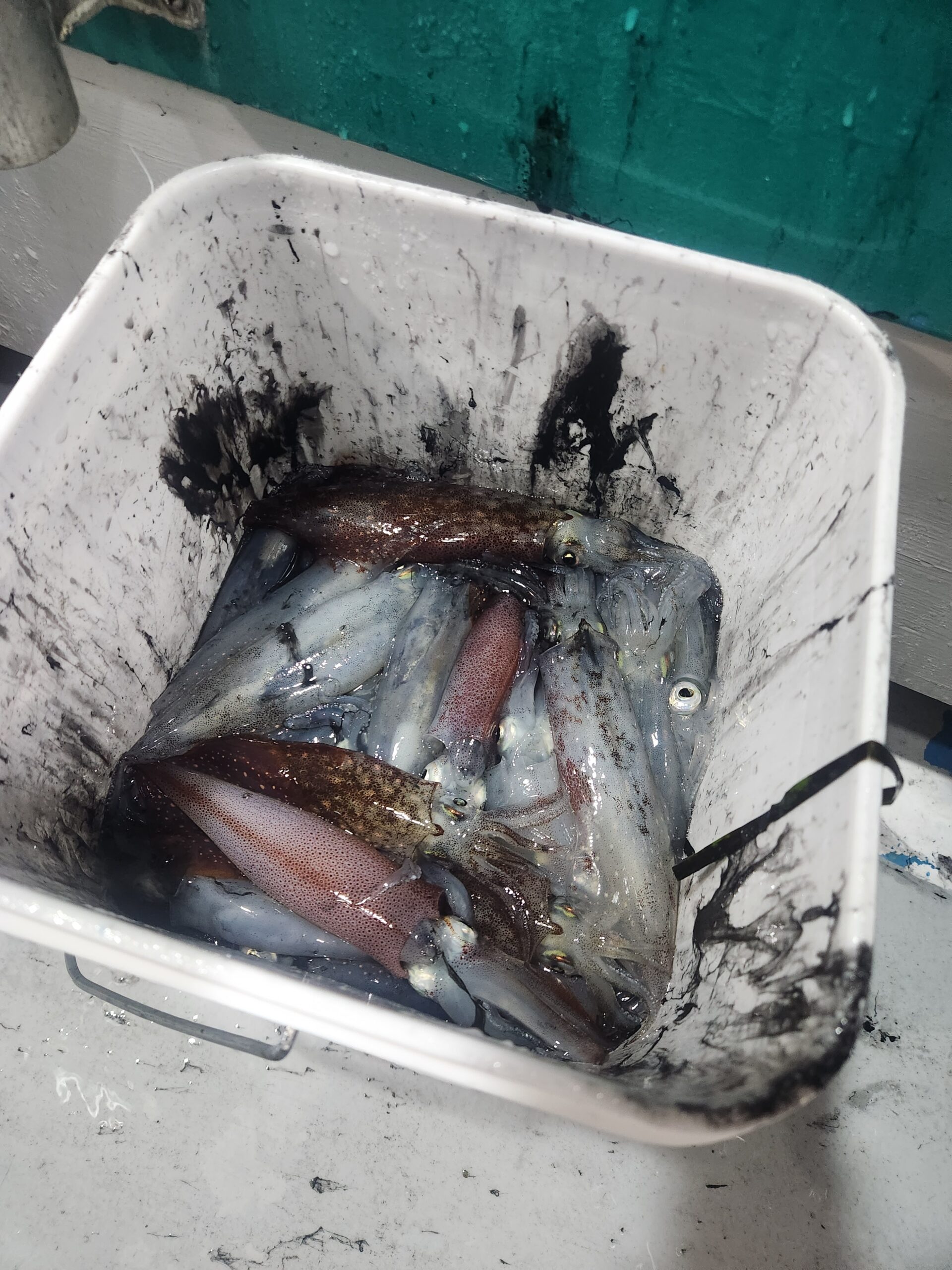 a piece of cake covered in snow