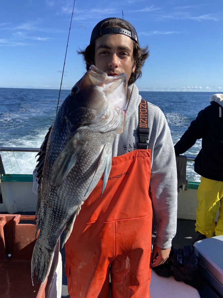 a person holding a fish in the water
