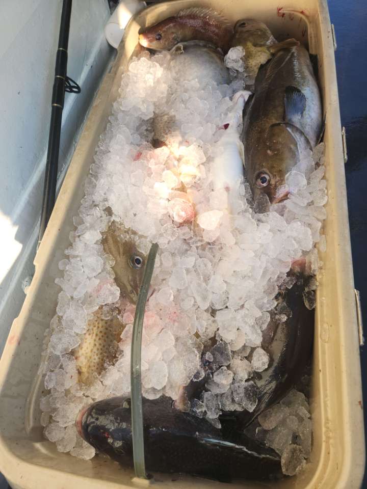 a box filled with different types of food